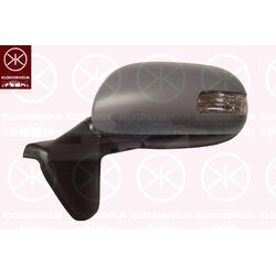 Exterior Mirror KLOKKERHOLM 81181043 OE Ref 8794012E10