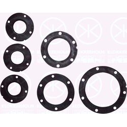 Fuel Sender Seal KLOKKERHOLM 81420092