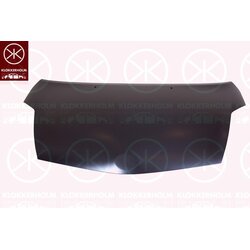 Bonnet KLOKKERHOLM 8169281 OE Ref 53301 47040