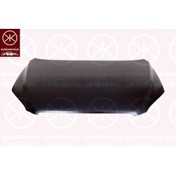 Bonnet KLOKKERHOLM 8179281 OE Ref 53301 42080