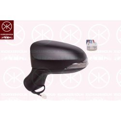 Exterior Mirror KLOKKERHOLM 81831031 OE Ref 8794005430