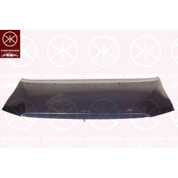 Bonnet KLOKKERHOLM 8185281A1 OE Ref 5330126041