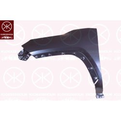 Wing (fender) KLOKKERHOLM 8196311A1 OE Ref 5381242360