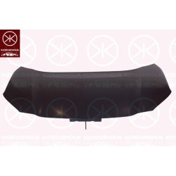 Bonnet KLOKKERHOLM 8202280 OE Ref 53301K2010