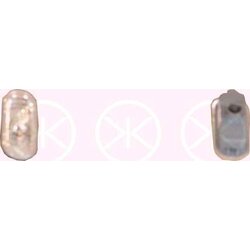 Direction Indicator Light KLOKKERHOLM 95010620 OE Ref 7E0949117B