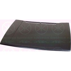 Bonnet KLOKKERHOLM 9521281 OE Ref 191 823 031B