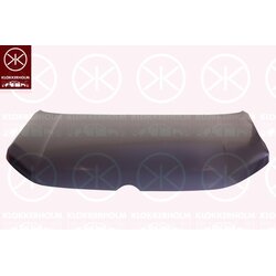 Bonnet KLOKKERHOLM 9572280A1 OE Ref 2K7 823 033 G