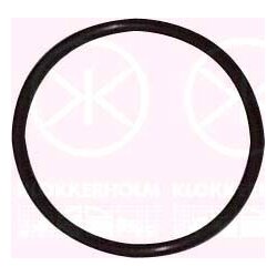 Fuel Sender Seal KLOKKERHOLM 95990095 OE Ref 113 919 131A