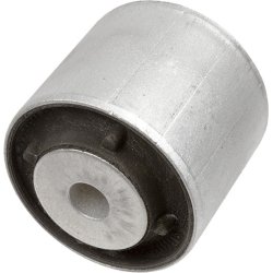 Mounting (AMT) 4201901 LEMFORDER 42019 01 OE Ref 1663330400