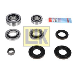 Differential Mounting LUK 462021510 OE Ref 7516323