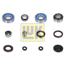 Mounting (mt) LUK 462022210 OE Ref 0C6311110