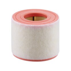 Air Filter MANN & HUMMEL MANN FILTER C15010 OE Ref 4G0 133 843 K