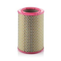 Air Filter MANN & HUMMEL MANN FILTER C17192 OE Ref 8323458