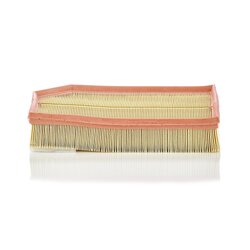 Air Filter MANN & HUMMEL MANN FILTER C33194 OE Ref 8638600