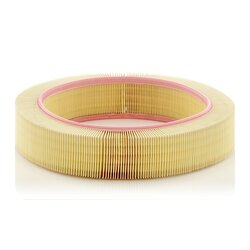 Air Filter MANN & HUMMEL MANN FILTER C40174 OE Ref 890 X 9601 GA