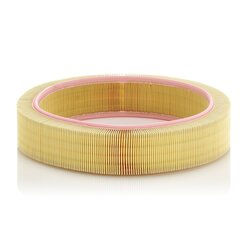 Air Filter MANN & HUMMEL MANN FILTER C41173 OE Ref 890 X 9601 EA