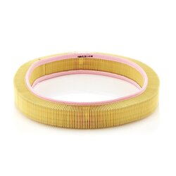 Air Filter MANN & HUMMEL MANN FILTER C42098 OE Ref A 700 X 9601 JA