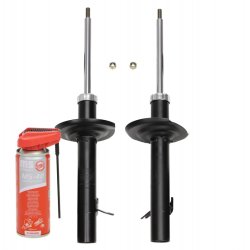 Shock Absorber Kit MASTER-SPORT 16K001301P OE Ref 5202RW MASTER SPORT