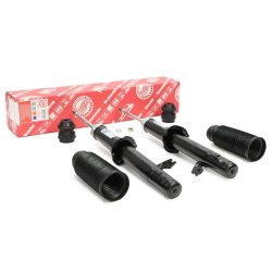 Shock Absorber Kit MASTER-SPORT 16K001553 OE Ref GAM634900A MASTER SPORT