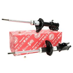 Shock Absorber Kit MASTER-SPORT 16K002132 OE Ref C10028900 MASTER SPORT