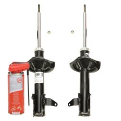 Shock Absorber Kit MASTER-SPORT 16K002132P OE Ref C10028900 MASTER SPORT
