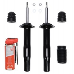 Shock Absorber Kit MASTER-SPORT 16K002193P OE Ref 31306775058 MASTER SPORT