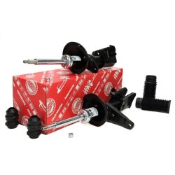 Shock Absorber Kit MASTER-SPORT 16K002393 OE Ref RSC000030 MASTER SPORT