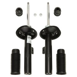 Shock Absorber Kit MASTER-SPORT 16K002493 OE Ref 5202AN MASTER SPORT