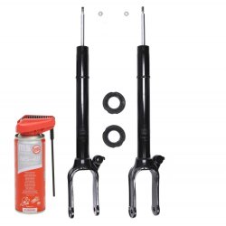 Shock Absorber Kit MASTER-SPORT 16K003351P OE Ref A1643200130 MASTER SPORT