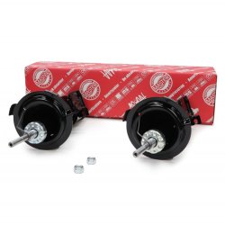 Shock Absorber Kit MASTER-SPORT 16K004201 OE Ref 6383200313 MASTER SPORT