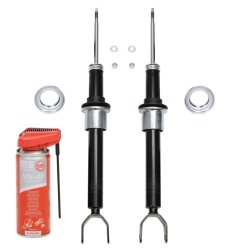 Shock Absorber Kit MASTER-SPORT 16K004601P OE Ref 2113200013 MASTER SPORT
