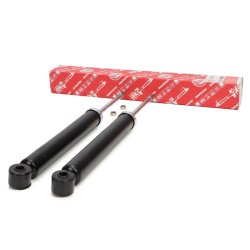 Shock Absorber Kit MASTER-SPORT 16K005612 OE Ref 553113K130 MASTER SPORT