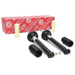 Shock Absorber Kit MASTER-SPORT 16K006784 OE Ref 1075701 MASTER SPORT