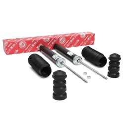 Shock Absorber Kit MASTER-SPORT 16K007324 OE Ref EG2128910E MASTER SPORT