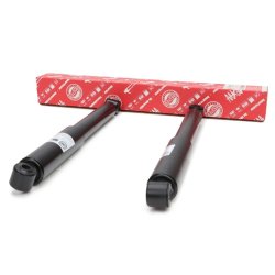 Shock Absorber Kit MASTER-SPORT 16K007362 OE Ref 6023200631 MASTER SPORT