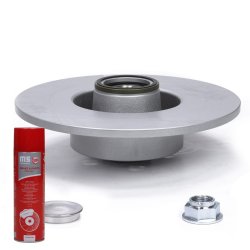 Brake Disc Set + Cleaner MASTER-SPORT 2401110181BPR-PCS-MSP OE Ref 402020005R MASTER SPORT