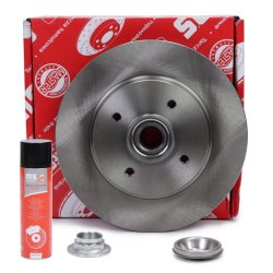 Brake Disc + Cleaner MASTER-SPORT 2401120194B-PCS-MSP OE Ref 424945 MASTER SPORT
