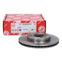 Brake Disc Set MASTER-SPORT 24012002481-PCS-MS OE Ref 55311M69P10 MASTER SPORT