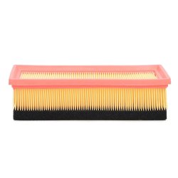 Air Filter MASTER-SPORT 24120-LF-PCS-MS OE Ref B000754480