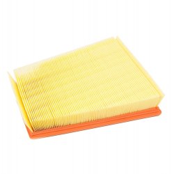 Air Filter MASTER-SPORT 2538-LF-PCS-MS OE Ref 165465647R MASTER SPORT