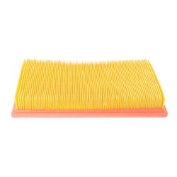 Air Filter MASTER-SPORT 2573-LF-PCS-MS OE Ref F20113Z00