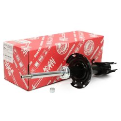 Shock Absorber MASTER-SPORT 290386-PCS-MS OE Ref 93189535 MASTER SPORT
