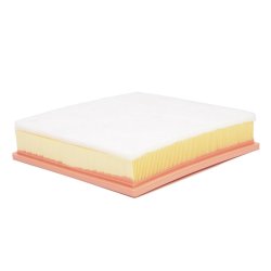 Air Filter MASTER-SPORT 30163-LF-PCS-MS OE Ref 1654600Q0H