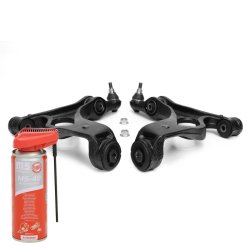 Control Trailing Arm Kit + Penetrating oil MASTER-SPORT 37043-KIT-MSP OE Ref 95534101830