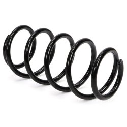 Suspension Spring MASTER-SPORT 4063467-PCS-MS OE Ref 312869 MASTER SPORT