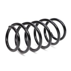 Suspension Spring MASTER-SPORT 4063483-PCS-MS OE Ref 312246 MASTER SPORT