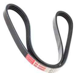 V ribbed Belt MASTER-SPORT 4PK810-PCS-MS OE Ref 11282247082