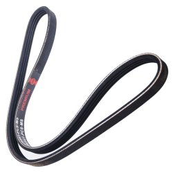 V ribbed Belt MASTER-SPORT 4PK841-PCS-MS OE Ref 038260849