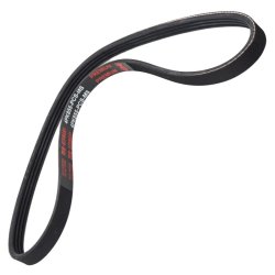 V ribbed Belt MASTER-SPORT 4PK855-PCS-MS OE Ref 050903137B