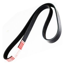 V ribbed Belt MASTER-SPORT 5PK1020-PCS-MS OE Ref 6453TV